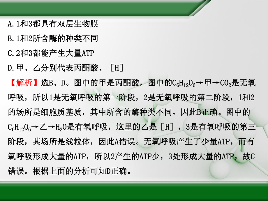 河北2020届高考生物三轮冲刺知识归纳总结：细胞呼吸课件.ppt_第3页