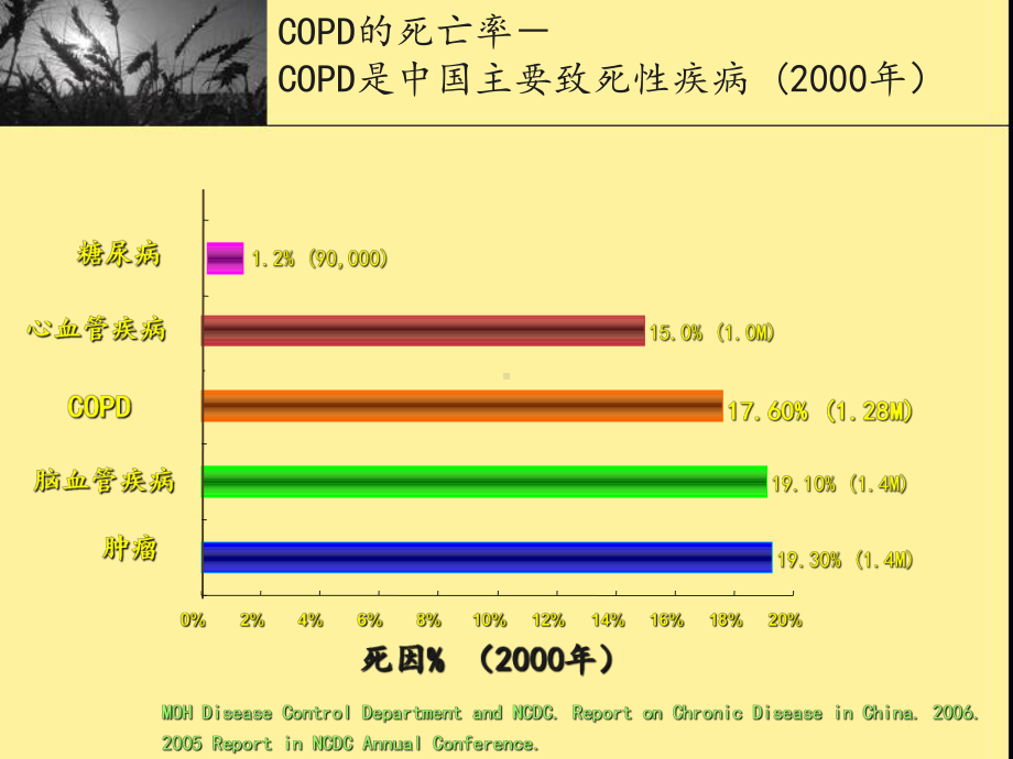 慢性阻塞性肺病健康教育课件.ppt_第3页