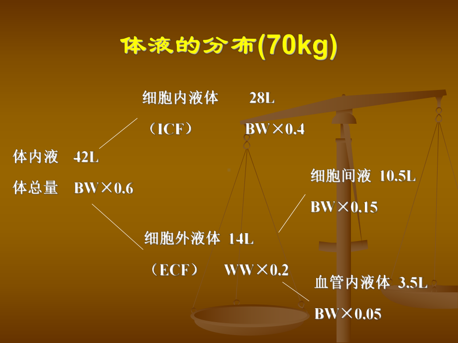 术中容量管理-课件.ppt_第3页