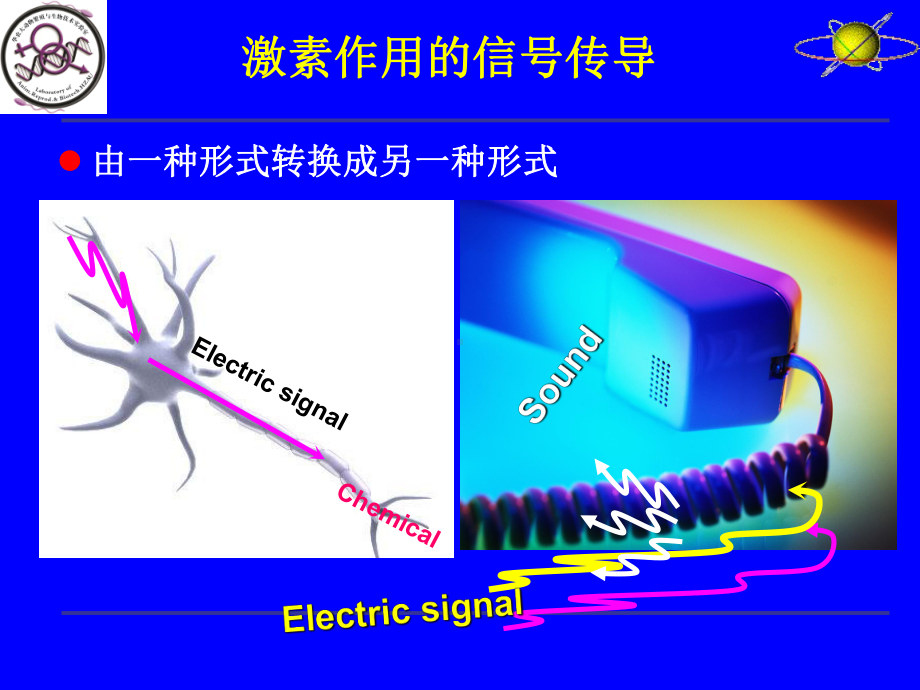 激素在奶牛繁殖中应用新进展课件.pptx_第3页