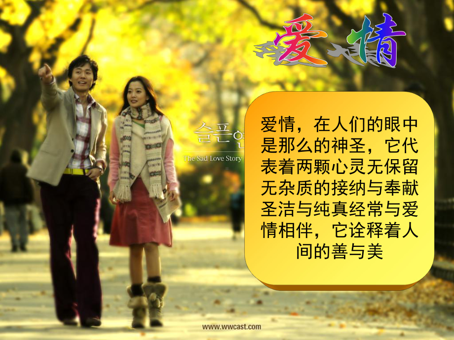 新婚姻法与保险课件.ppt_第2页