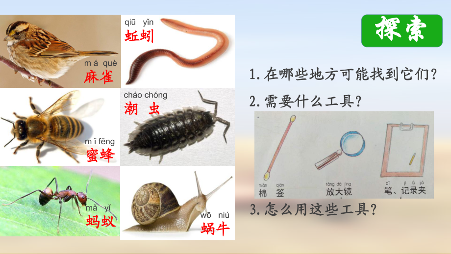 教科版小学科学一年级下册课件：22校园里的动物公开课(新教材)1优选课件.pptx_第3页