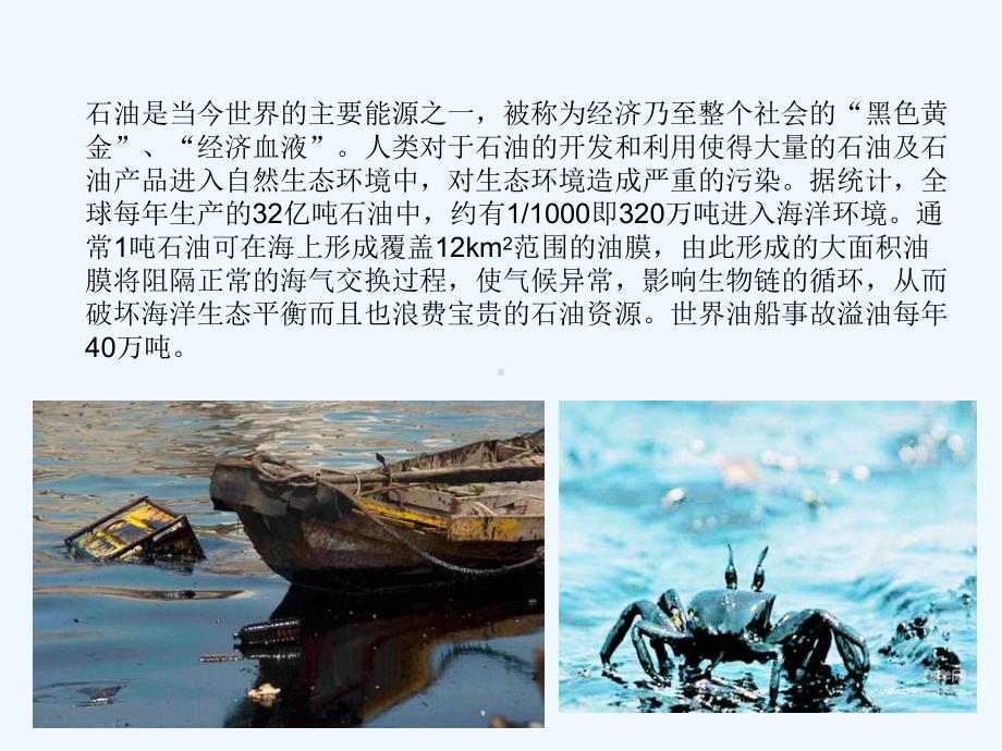 海洋溢油处理课件.ppt_第3页