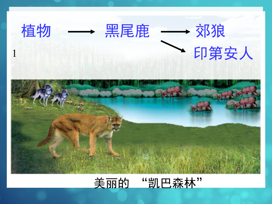 北师大版八年级生物下册：234生态系统的稳定性课件.ppt_第2页