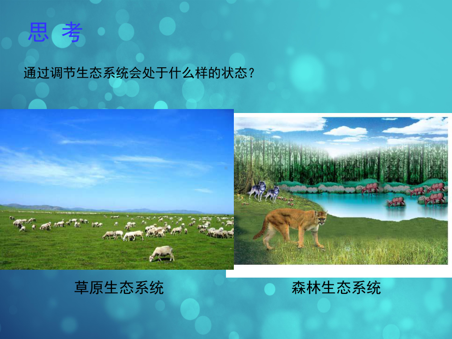 北师大版八年级生物下册：234生态系统的稳定性课件.ppt_第3页