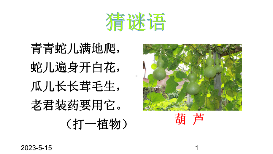 最新部编版小学二年级上册语文课件14-我要的是葫芦.ppt_第1页