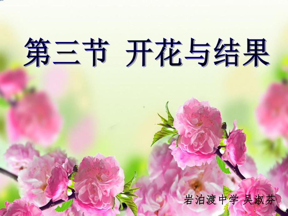 开花和结果说课稿课件.ppt_第1页