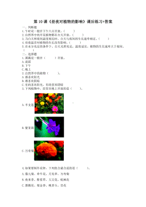 扬州市新苏教版五年级下册科学第10课《昼夜对植物的影响》课后练习+答案.docx