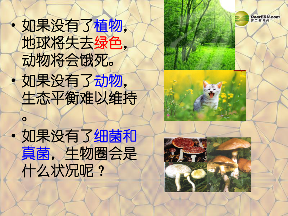 山东省七年级生物上册-细菌、真菌在生物圈中的作用课件1-济南版.ppt_第2页