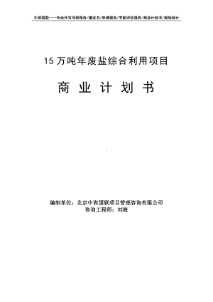 15万吨年废盐综合利用项目商业计划书写作模板-融资招商.doc