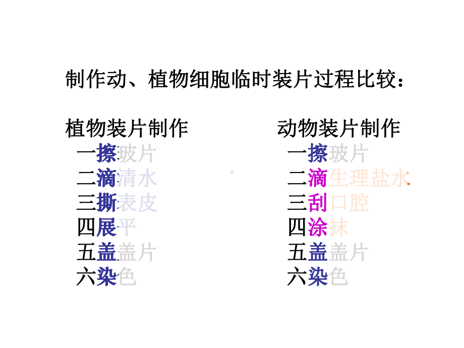 济南版七年级生物上册121细胞的结构与功能课件.ppt_第2页