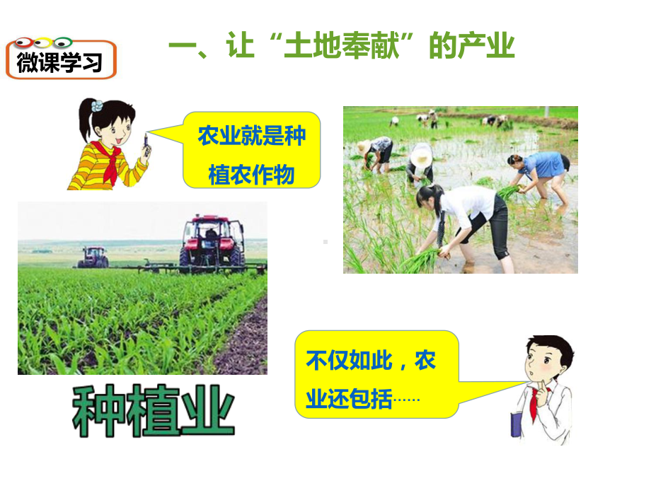 湘教版八年级上册地理：第一节-农业课件.ppt_第3页