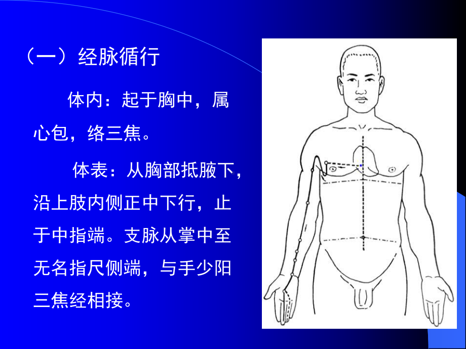 医学针灸课件12心包经.pptx_第2页