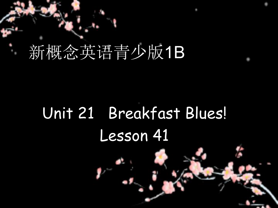 新概念青少版1BUnit21Lesson-41课件.pptx_第1页