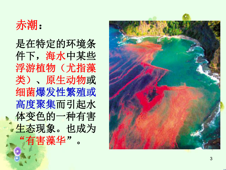 水华与赤潮课件.ppt_第3页