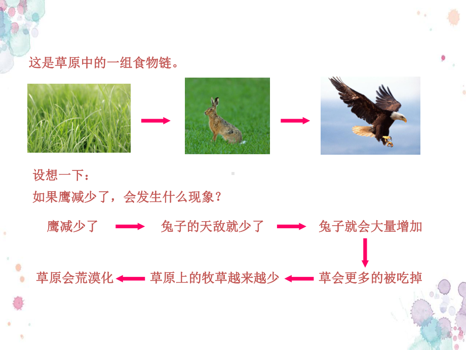 教科版科学五上18《维护生态平衡》课件.ppt_第3页