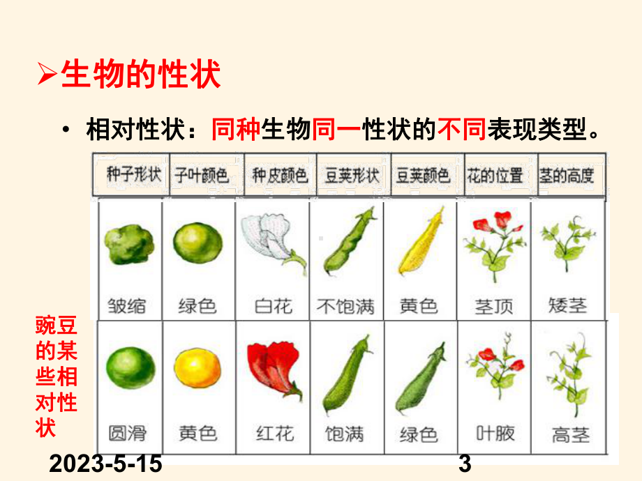 最新济南版八年级上册生物课件-442-性状的遗传.ppt_第3页