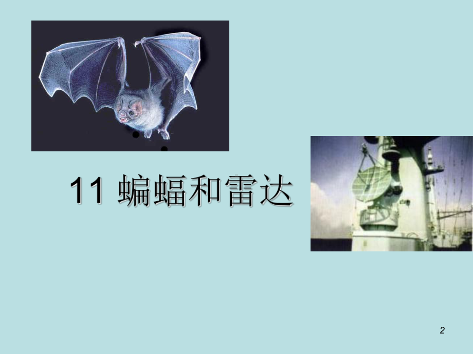 四年级下册语文11蝙蝠和雷达课件.ppt_第2页