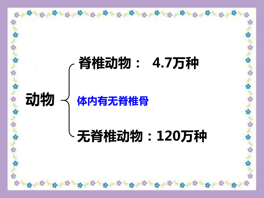 浙教版七上科学常见的脊椎动物教学课件.ppt_第2页