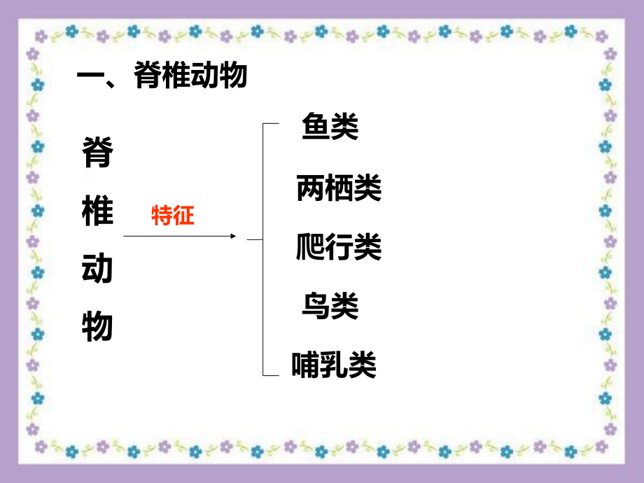 浙教版七上科学常见的脊椎动物教学课件.ppt_第3页