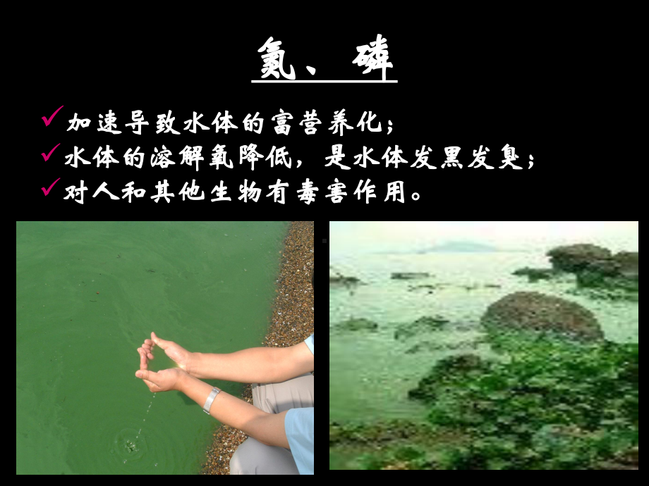 污水处理-脱氮除磷讲义课件.ppt_第2页