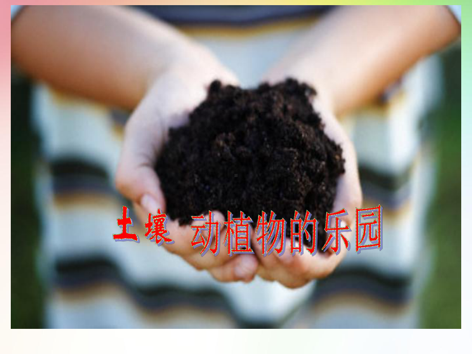 最新教科版科学二年级上册-2、土壤-动植物的乐园(课件)公开课课件.pptx_第3页