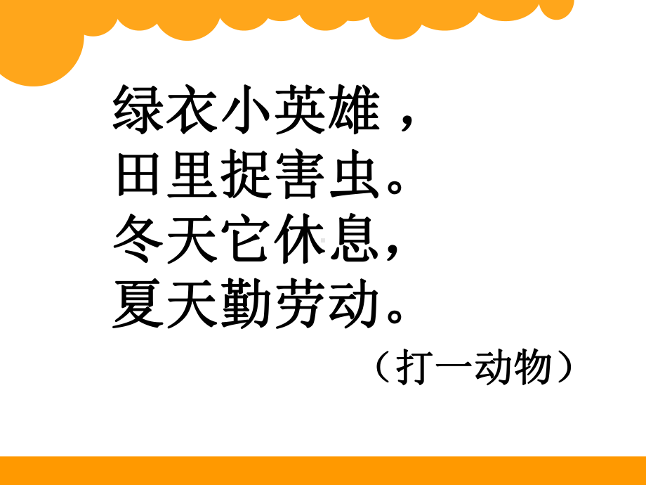 有多少张贴画(省一等奖)课件.ppt_第3页