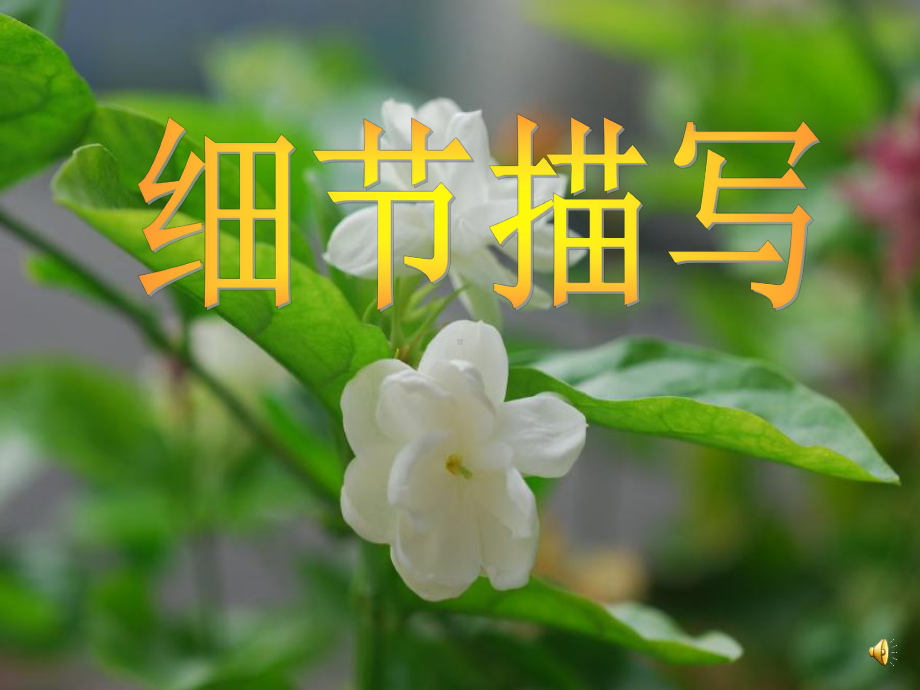 微课：细节描写课件.ppt_第2页