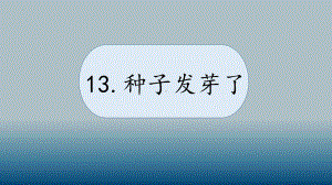 科学青岛版三年级下册（2019年新编）13 种子发芽了 课件.pptx