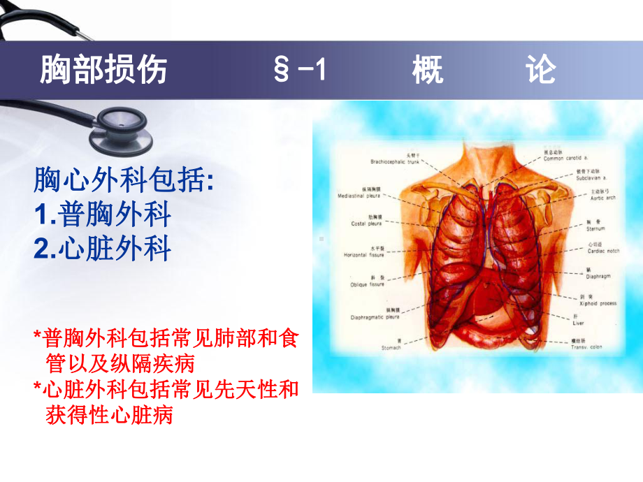 普胸外科课件.ppt_第3页