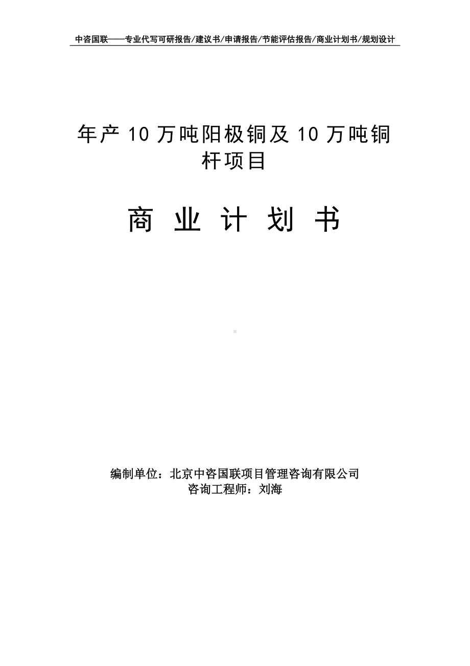 年产10万吨阳极铜及10万吨铜杆项目商业计划书写作模板-融资招商.doc_第1页