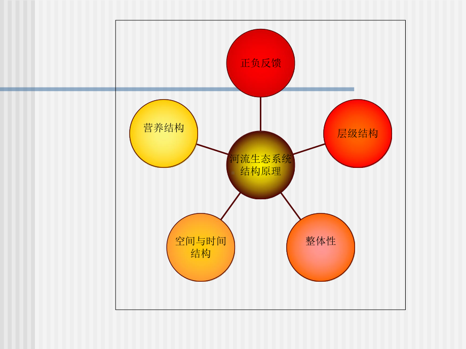 河流生态系统结构功能模型及其应用课件.ppt_第3页