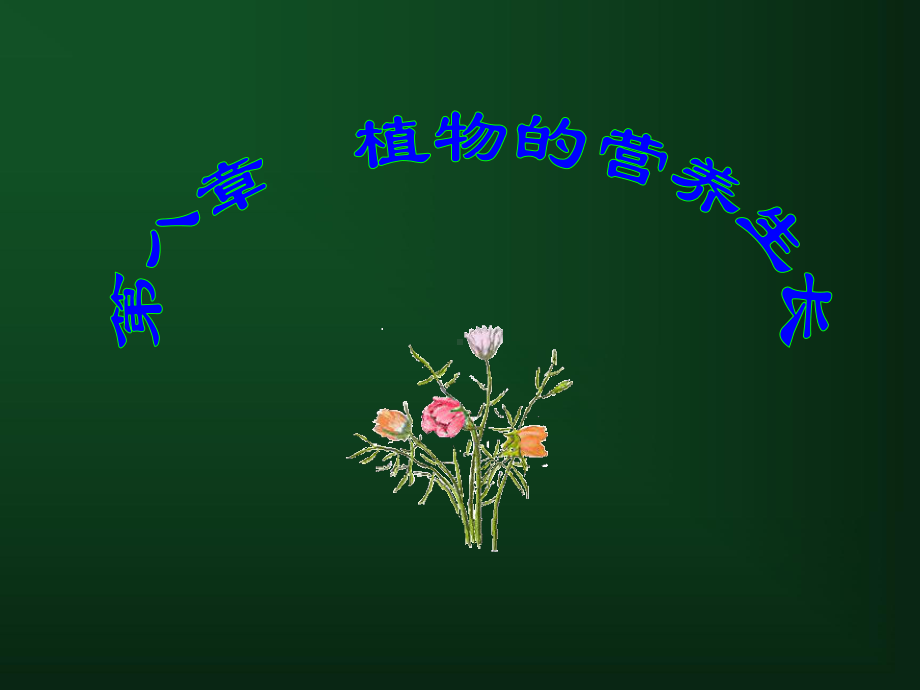 植物生理学-第八章-植物的营养生长课件.ppt_第1页