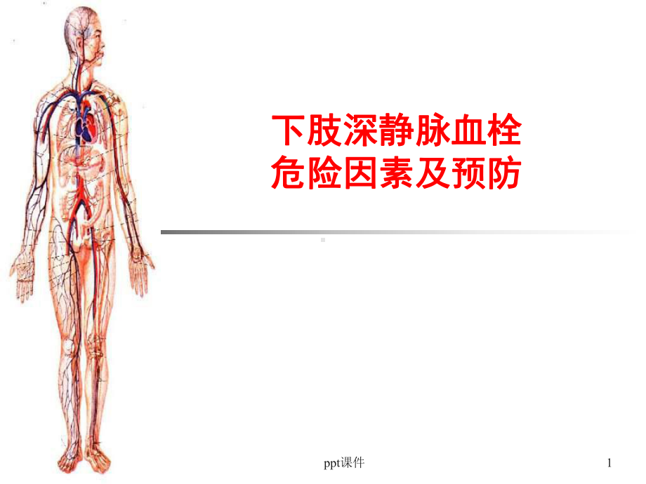 深静脉血栓危险因素及预防-课件.ppt_第1页