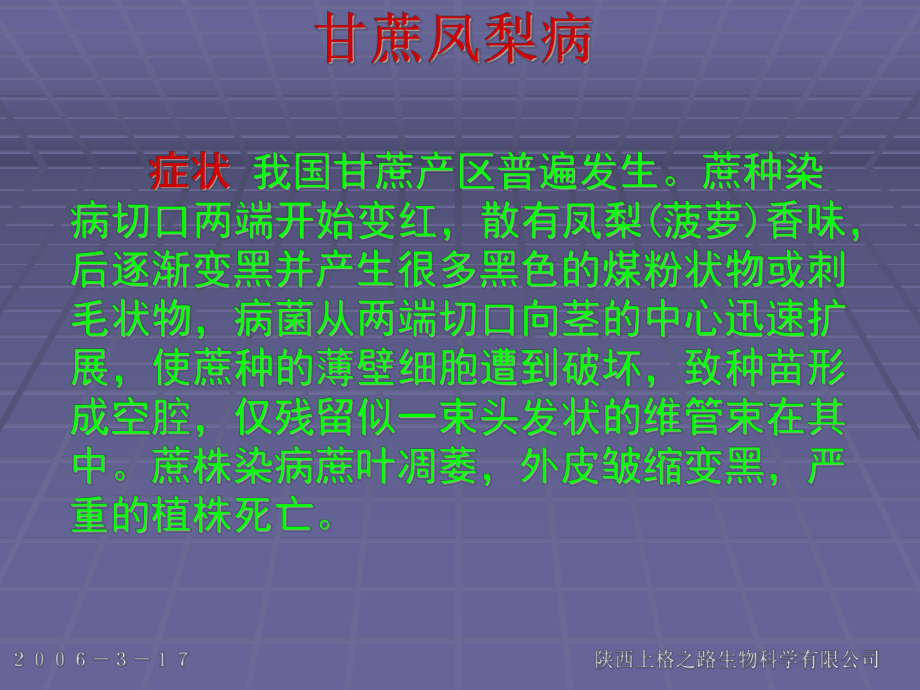 甘蔗病虫害防治方案.ppt_第2页