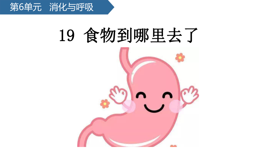 科学青岛版三年级下册（2019年新编）19 食物到哪里去了 课件.pptx_第1页