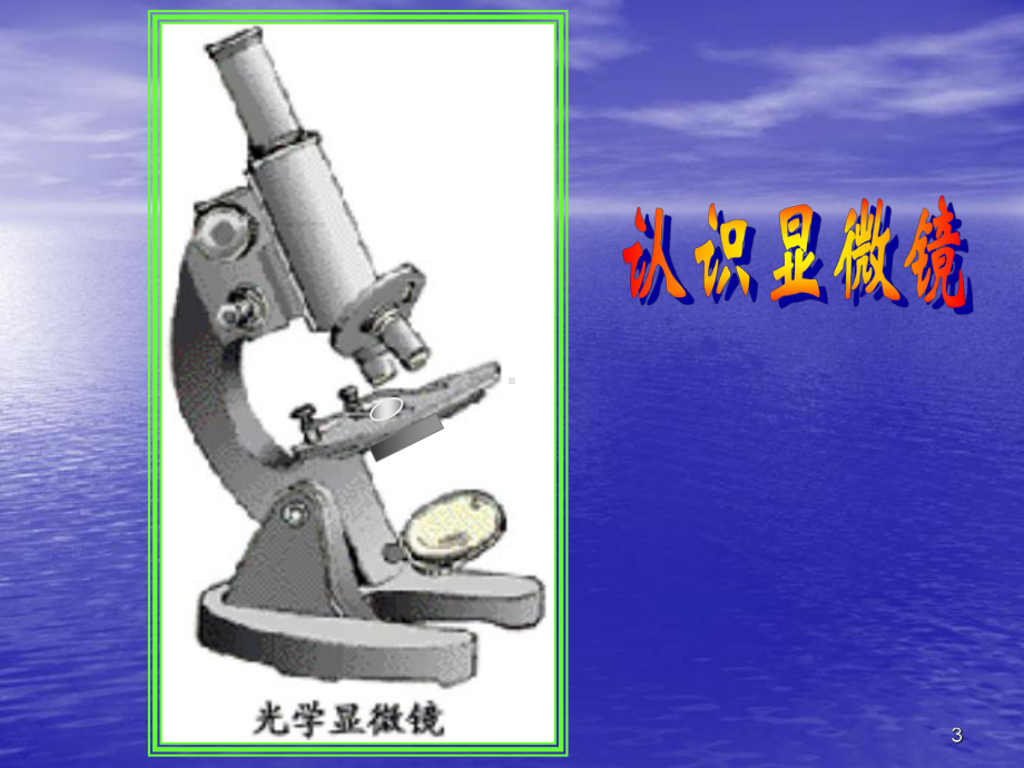 显微镜教学讲解课件.ppt_第3页