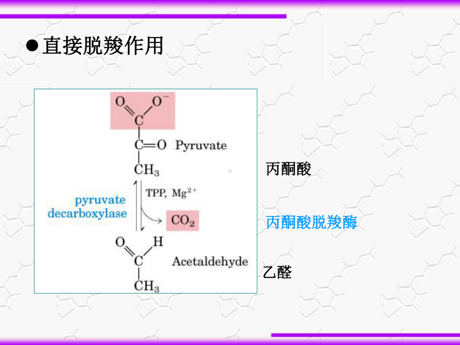 生物化学知识精华(知识点梳理)课件.ppt_第3页