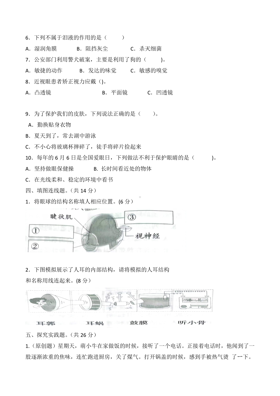 科学青岛版六年级下册（2023年新编）第一单元 人体感知环境 单元检测题2.docx_第2页