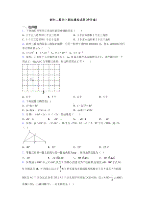 新初二数学上期末模拟试题(含答案).doc