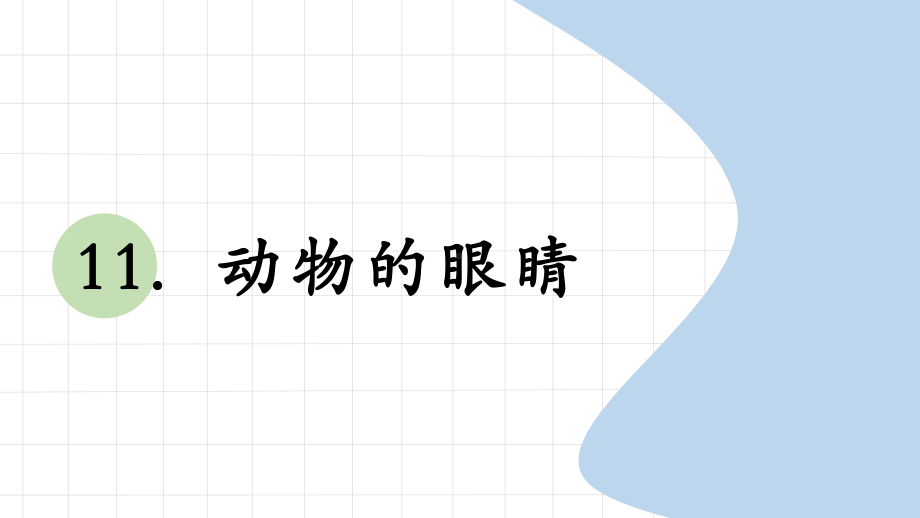 科学青岛版二年级下册（2018年新编）11 动物的眼睛 课件.pptx_第1页