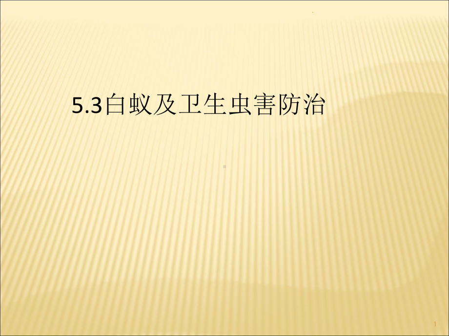 物业管理白蚁防治课件.ppt_第1页