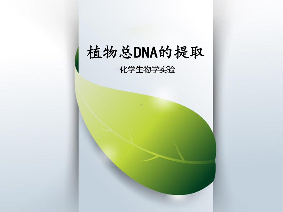 植物总DNA的提取参考模板范本.ppt_第1页