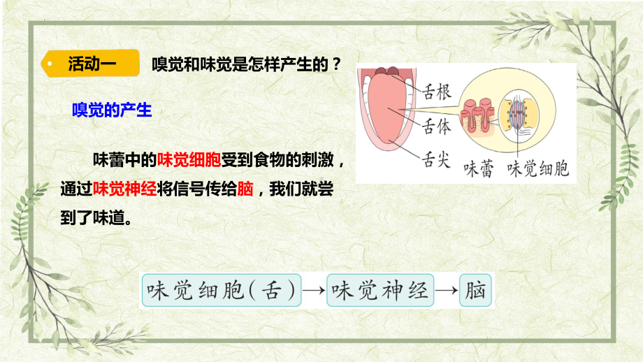 科学青岛版六年级下册（2023年新编）5 触觉 课件.pptx_第2页