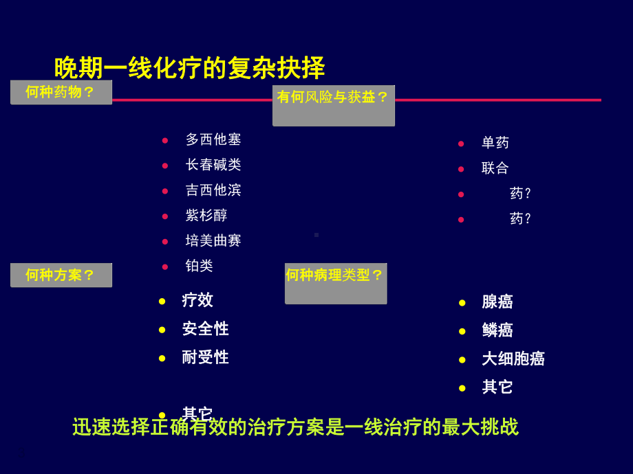 林小燕肺癌化疗的个体化选择课件.ppt_第3页