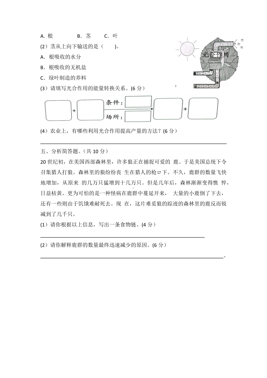 科学青岛版五年级下册（2022年新编）第五单元 密切联系的生物界 单元检测题.docx_第3页