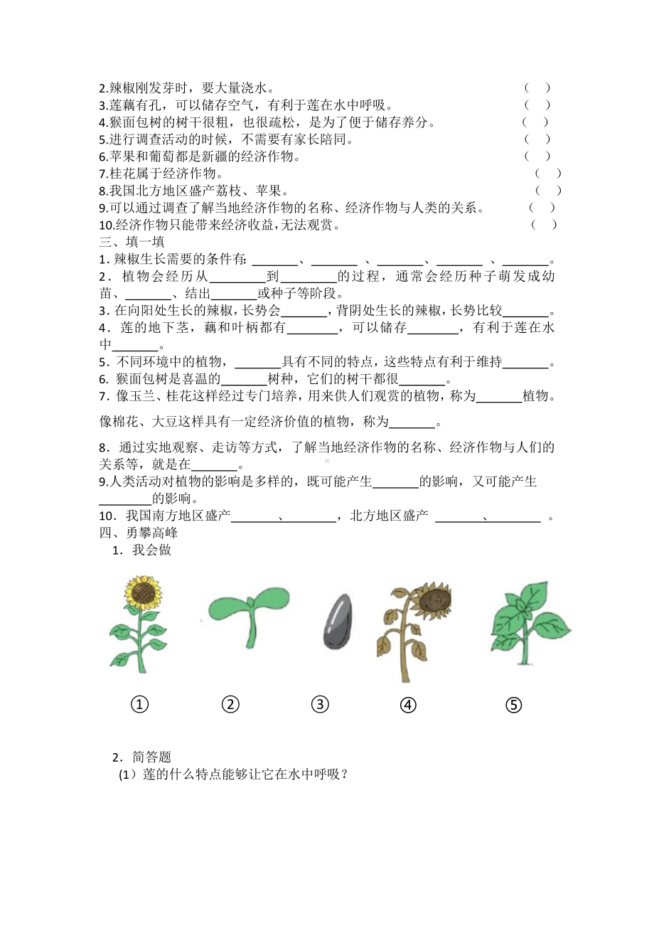 科学青岛版四年级下册（2020年新编）第四单元 植物的生长 单元检测题A.docx_第2页