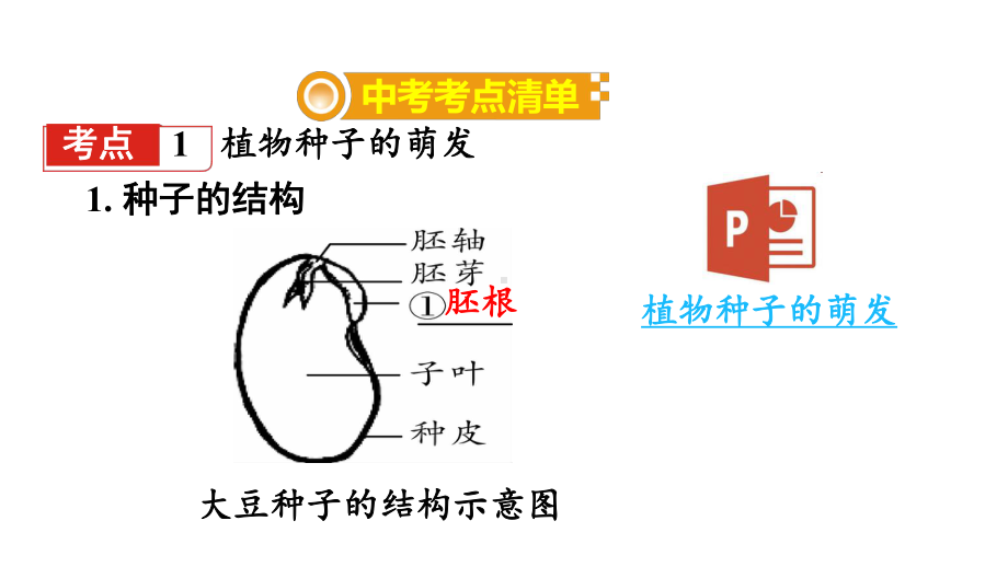 江苏中考生物复习：绿色植物的一生(2份)-苏教版课件.ppt_第2页