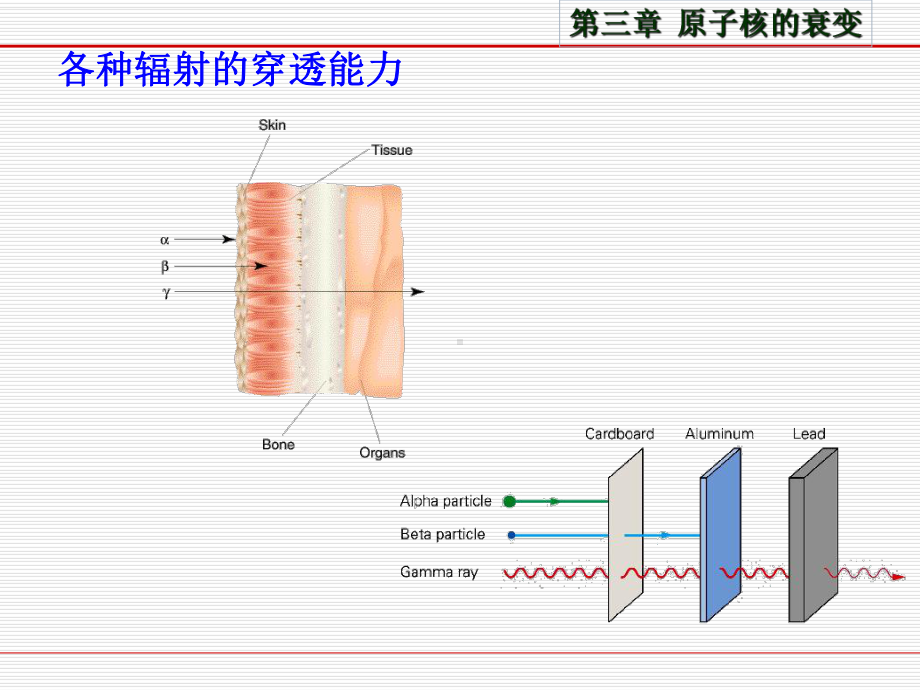 核辐射物理与探测学课件.ppt_第3页