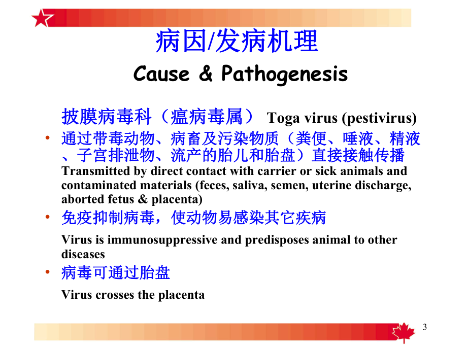 牛病毒性腹泻教学课件.ppt_第3页